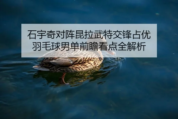 石宇奇对阵昆拉武特交锋占优 羽毛球男单前瞻看点全解析（SANYI）